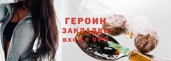 шишки Надым