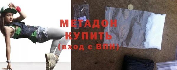 шишки Надым