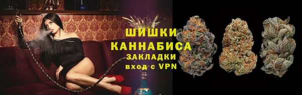 шишки Наволоки