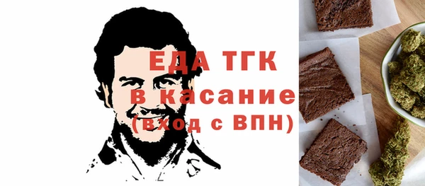 шишки Надым