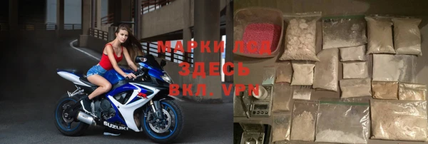 шишки Надым