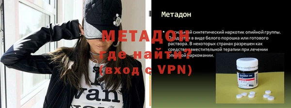 шишки Надым