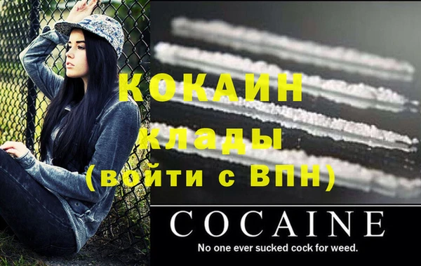 шишки Наволоки