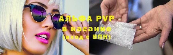 шишки Надым