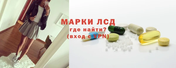 шишки Надым