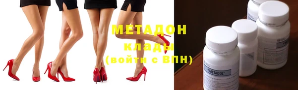 шишки Надым