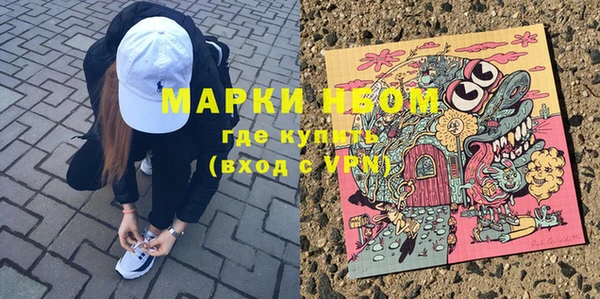 шишки Надым