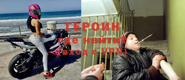 шишки Надым