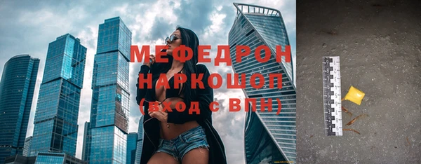 шишки Надым