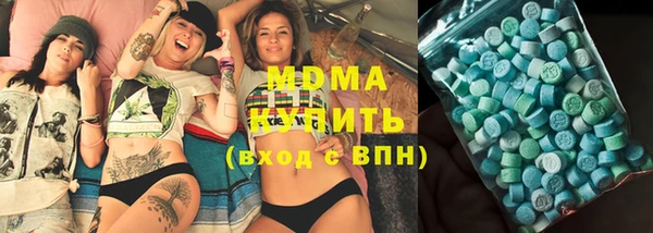 шишки Надым