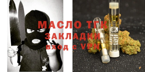 шишки Надым