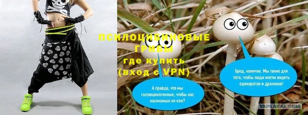 шишки Наволоки