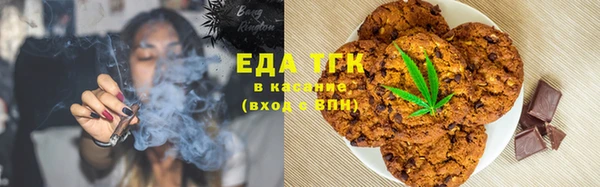 шишки Надым