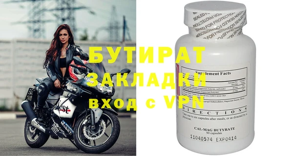 шишки Надым